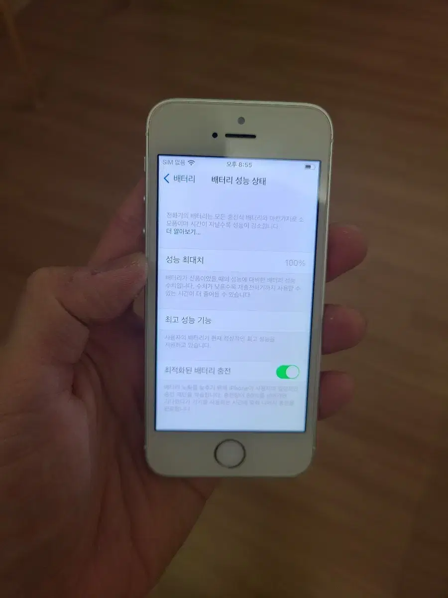 iPhone SE 1st Gen 64GB Silver Silent