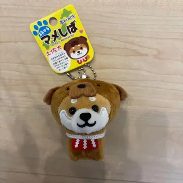 여행하는 마메시바 고치현 토사견