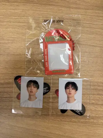 FANTASTICS 가챠 호리 나츠키 미니 카드 케이스 스티커 3점