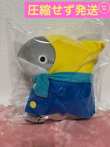 [택 포함] 외출 아기상어 겨울 옷 입은 BIG 봉제인형 아기상어쨩