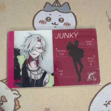 그레이 쉽 Gray Sheep 정크 프로필 카드 트레이딩 카드 CD 혜택