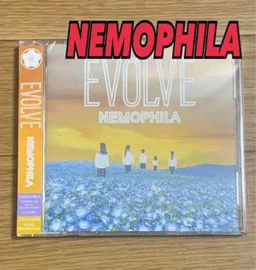 NEMOPHILA EVOLVE 재팬 메탈 비주얼계 SAKI