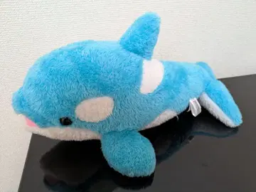 돌고래 봉제 인형 카모가와 씨월드
