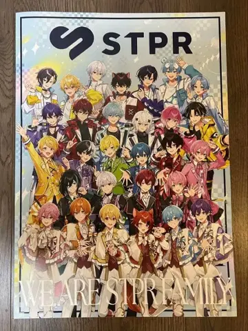 [ 종이상자 포장 ] STPR BIG 팜플렛 AGF2025