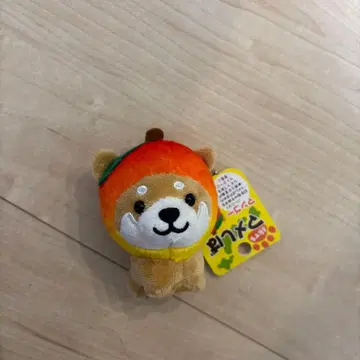 여행하는 마메시바 망고 버전