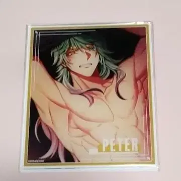 큐피파라 피터 아크릴 브로마이드 아크릴 카드 오토메이트 AGF