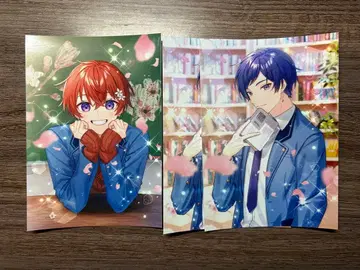 스태폴라 브로마이드