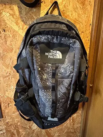 THE NORTH FACE 백팩 반다나 패턴