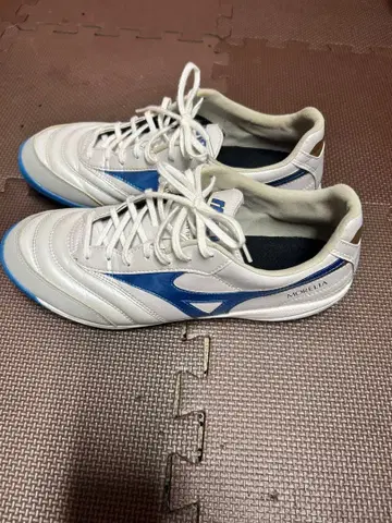 미즈노 모레리아 TF