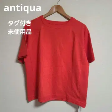 안티카 린넨 터치 래글런 니트 여성용 상의 반팔 미사용품