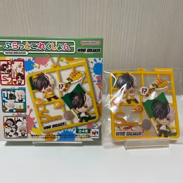 플랫 컬렉션 WINDBREAKER 공식 사쿠라 하루카