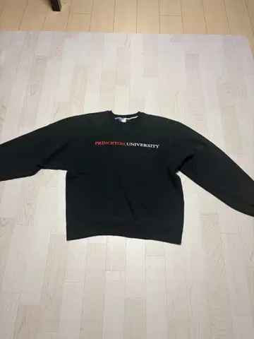 챔피언 프린스턴 대학교 맨투맨