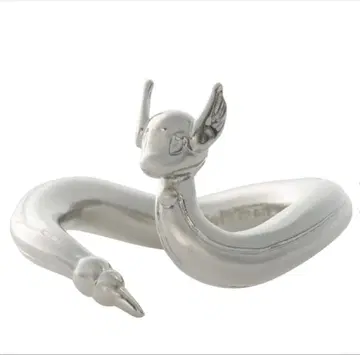 포켓몬 하쿠류 반지