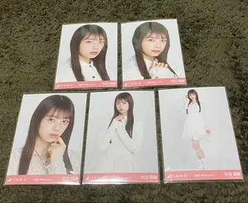 야타 모에카 생사진 신참자 6기생 스페셜 2 노기자카46 요리 히키 츄