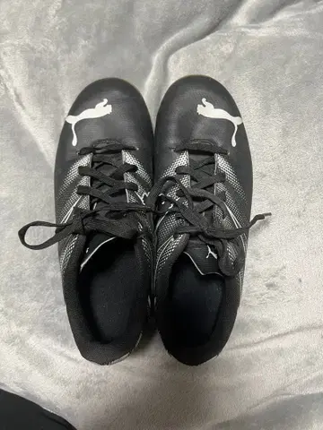 Puma 축구화 풋살 실내 체육관용 23cm