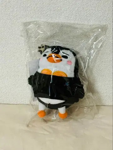 2PM JUNHO 펭귄 봉제 인형 백참