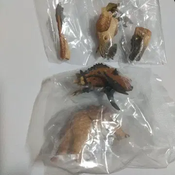 생물대도감 쁘띠 공룡 03 베로키랍토르 라이트 펜타케라톱스 브라운