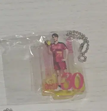 베어 가챠 카와노 타쿠마 아크릴 스탠드 30 도쿄 그레이트 베어즈