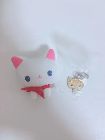 레어 당시물 산엑스 고양이링 굿즈 묶음 판매