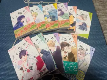 주인일기 1~11권 세트