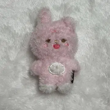 DAY6 데니멀즈 마그넷 PIL