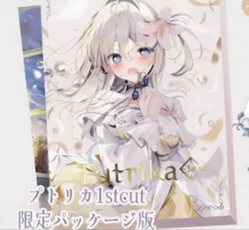 푸트리카 패키지판