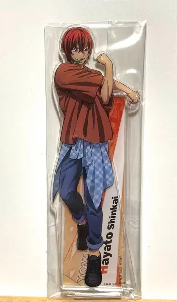 겁쟁이 페달 10주년 페스티벌 아크릴 스탠드 신카이 하야토