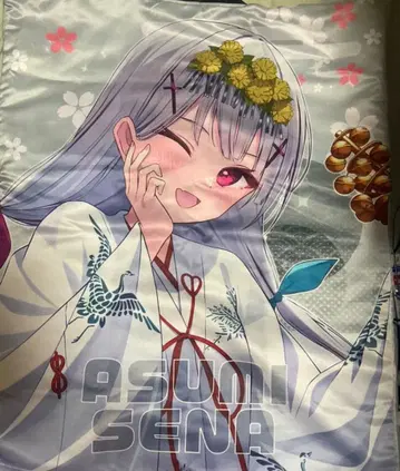 익명 배송  소라즈미 세나 칸다묘진 료료사이 핫피