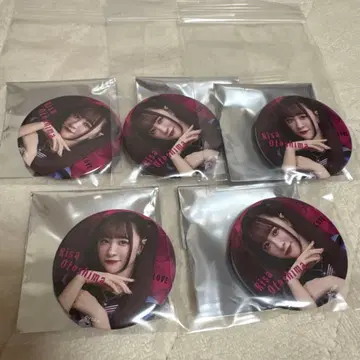 =LOVE 이코라부 오토시마 리사 캔뱃지 양키 의상