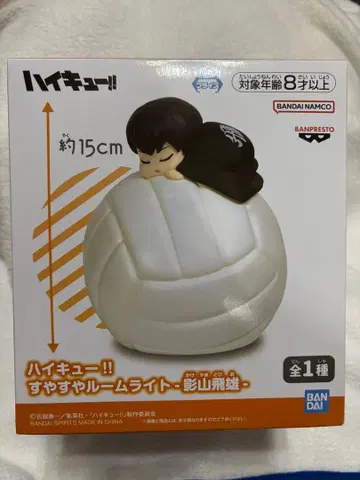 하이큐 쌔근쌔근 룸 라이트 카게야마 토비오