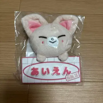 스키즈 아이엔 폭시니 네임 백참