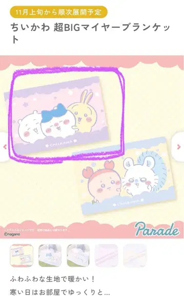 치이카와 초 BIG 마이어 담요