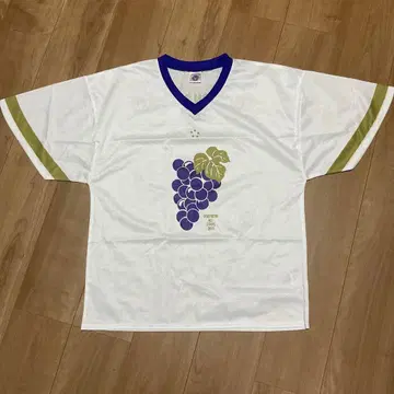 SOUTHERN ALL STARS 셔츠