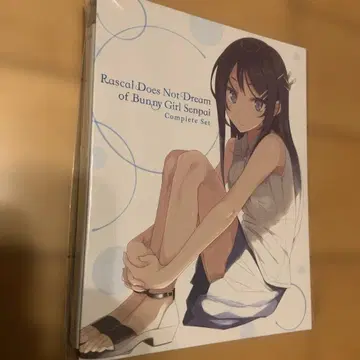 Rascal Does Not Dream of Bunny Girl