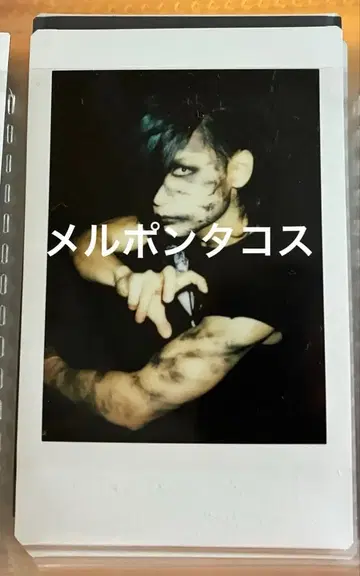 -진천지개벽집단- 지그재그 카게마루 폴라로이드