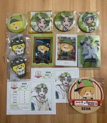 컬러풀 피치 카라피치 시바 묶음 판매