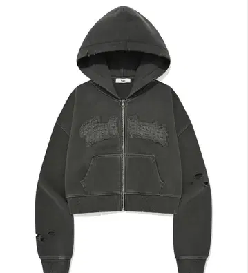 팔레트 아치 로고 데미지 후디 집업