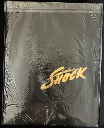 도모토 코이치 SHOCK 팜플렛 2010 Anniversary