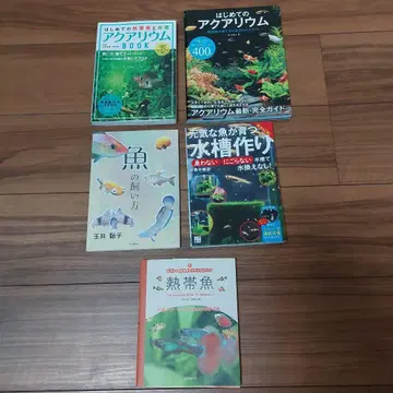 아쿠아리움 도서 5권 세트