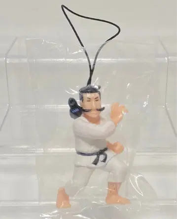 단지 토모오 스포츠 대령 스트랩