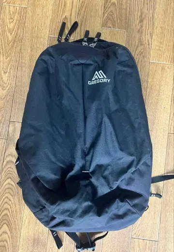 그레고리 스케치 22