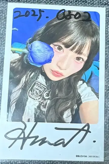 아오키 히나 BLUE TRIP 친필 사인 폴라로이드풍 포토 카드