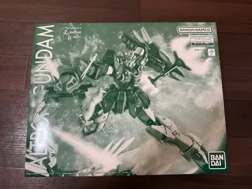 MG XXXG-01S2 1/100 알트론 건담 EW