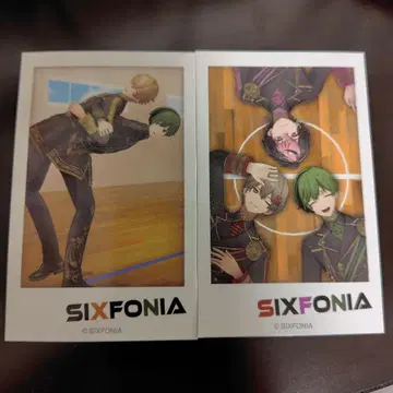 시쿠포니 스치 폴라로이드풍 카드