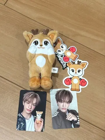 넥스지 세이타 세트
