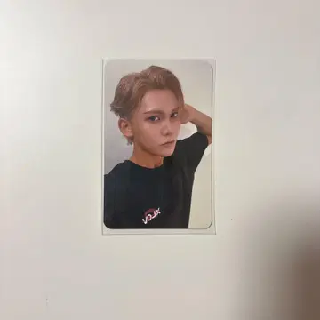 XLOV 현 Risingstar T셔츠 혜택 트레이딩 카드