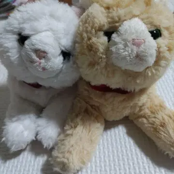 산레몬 무릎 고양이 2마리 S 사이즈 오드아이 봉제 인형