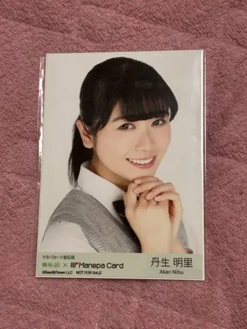 니부 아카리 케야키자카 히나타자카 마네파 카드 브로마이드