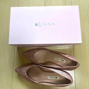 DIANA 펌프스
