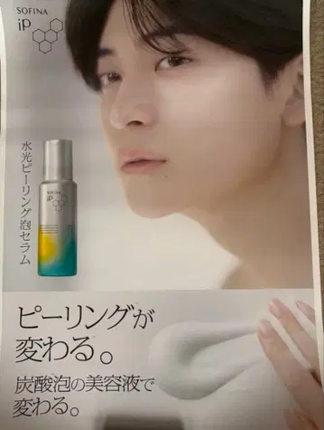 타카하시 후미야 포스터 A2 사이즈 큰 소피나 IP